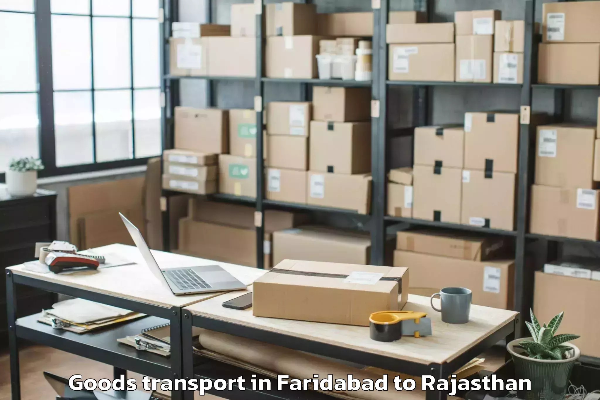 Professional Faridabad to Pushkar Goods Transport